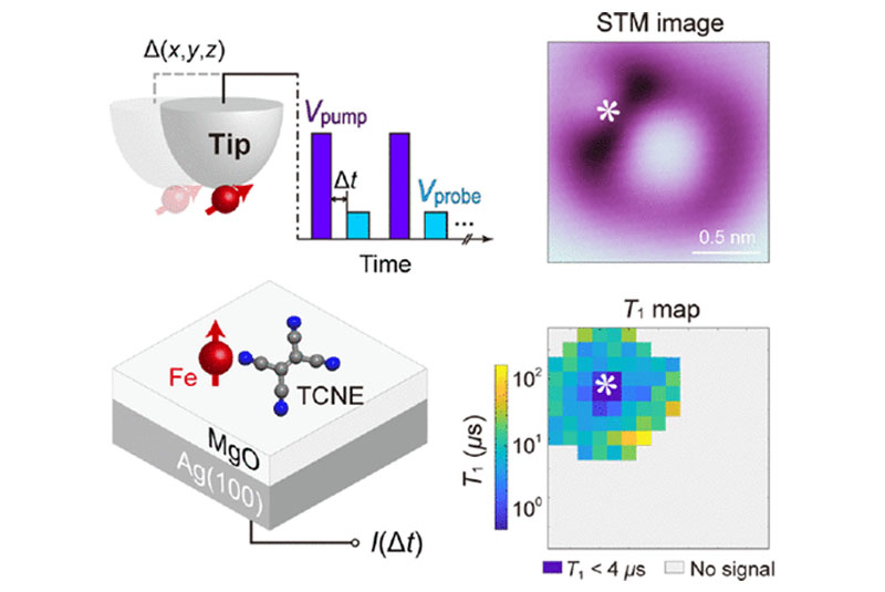 Probing Magnetism in Artificial Metal–Organic Complexes Using Electronic Spin Relaxometry